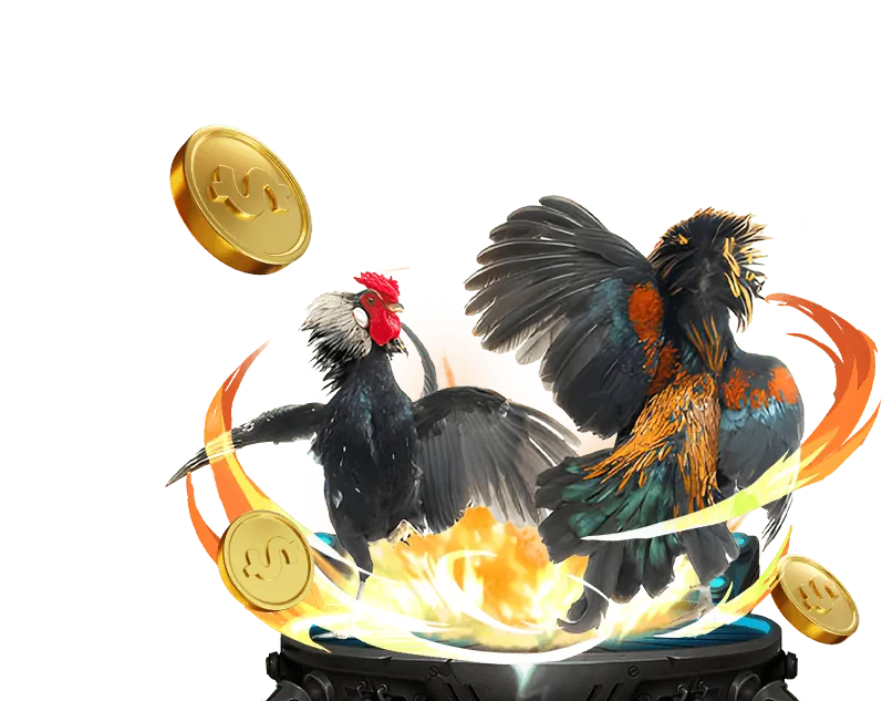 Đá Gà Campuchia 777 Win