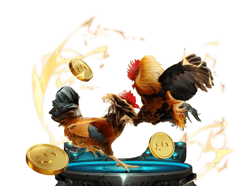 Đá Gà Philippines 777 Win